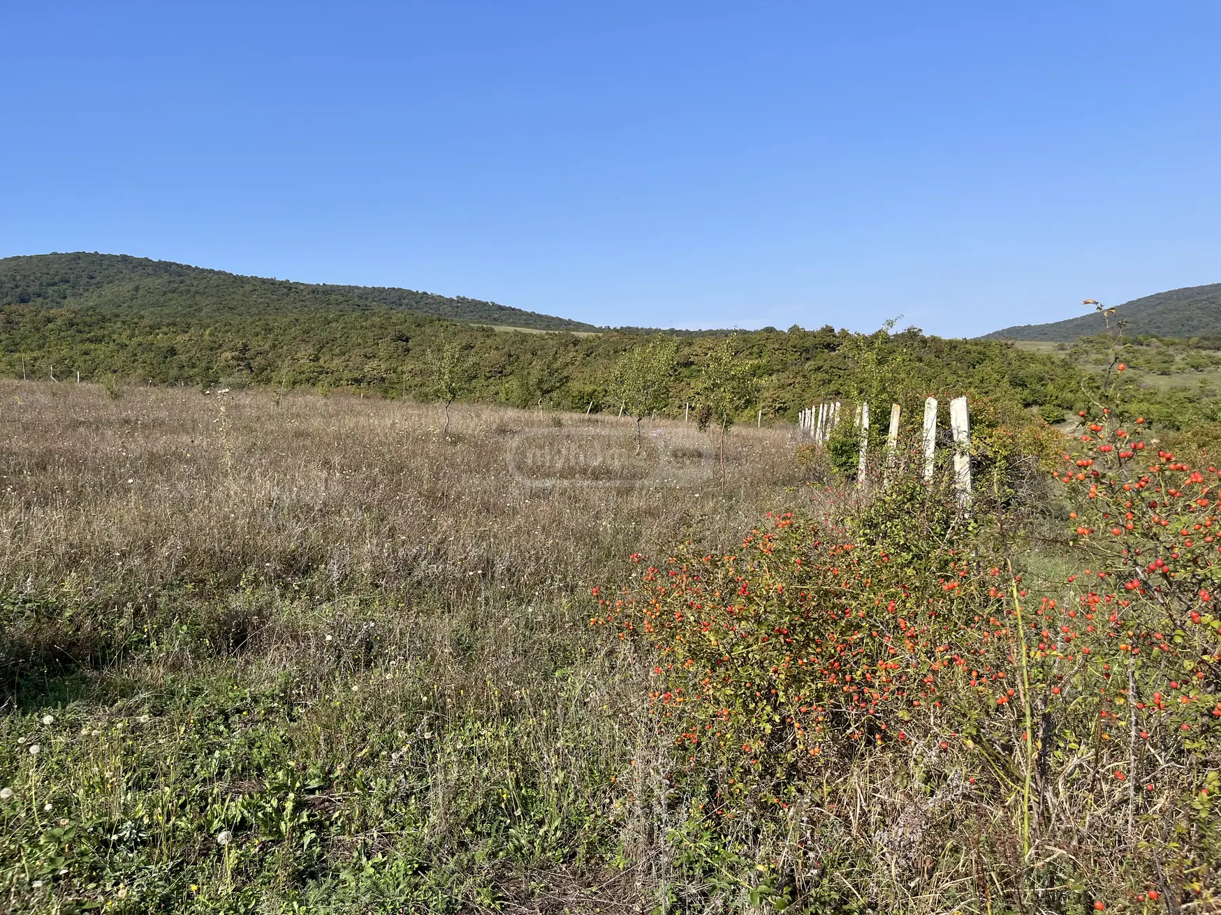 იყიდება Agricultural Plot In Mtskhetaში view 4