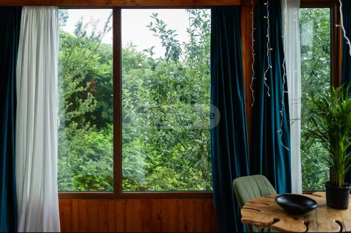 1 Room Private House Daily Rent In Boni-Gorodok District, In Batumi view 15