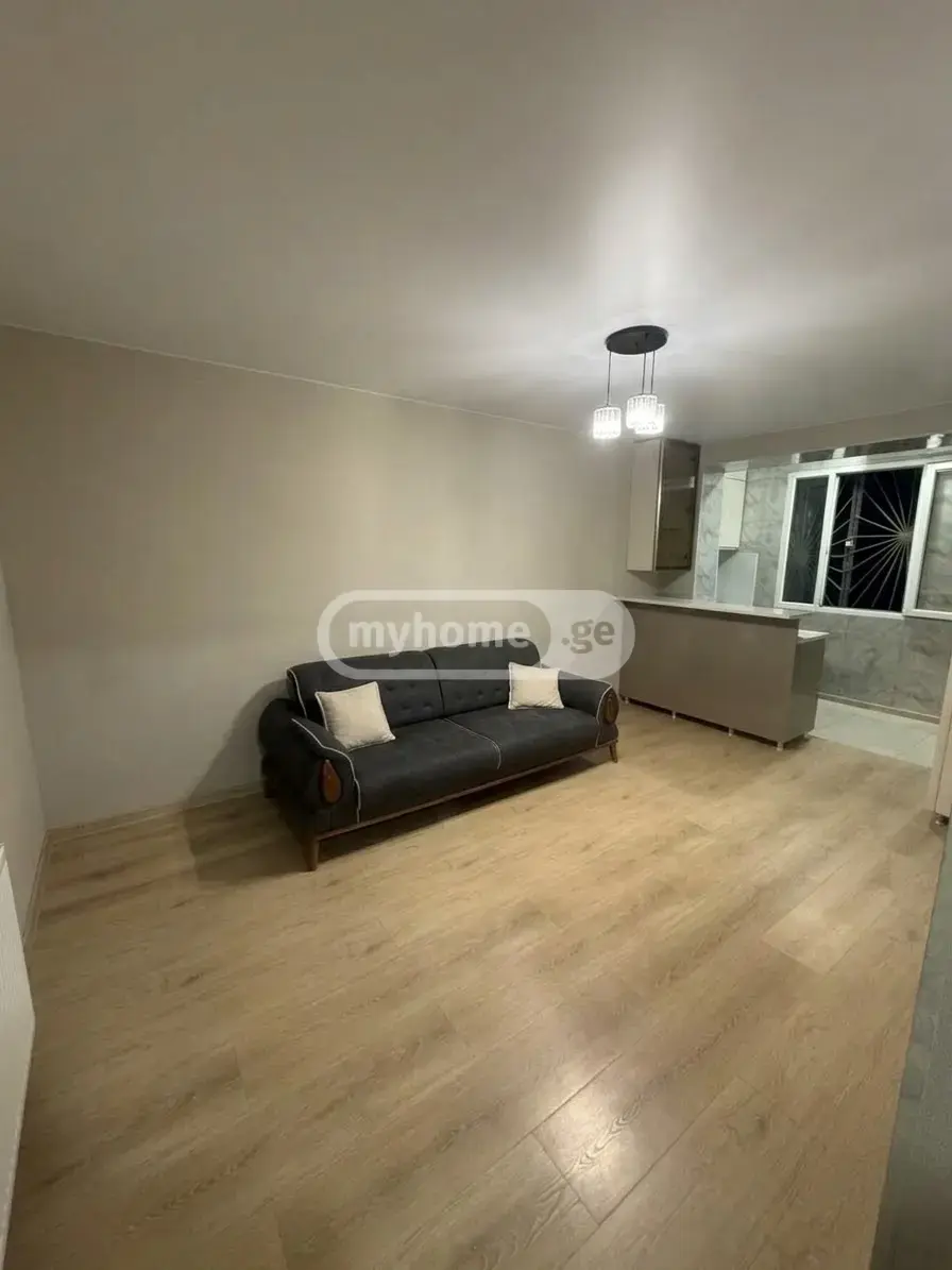 2 Room Apartment For Rent In Digomi view 1