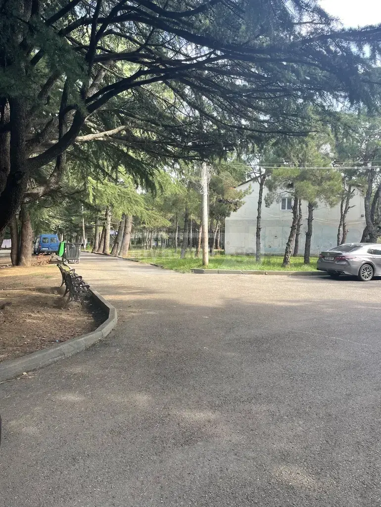 3 Room Apartment For Sale view 13