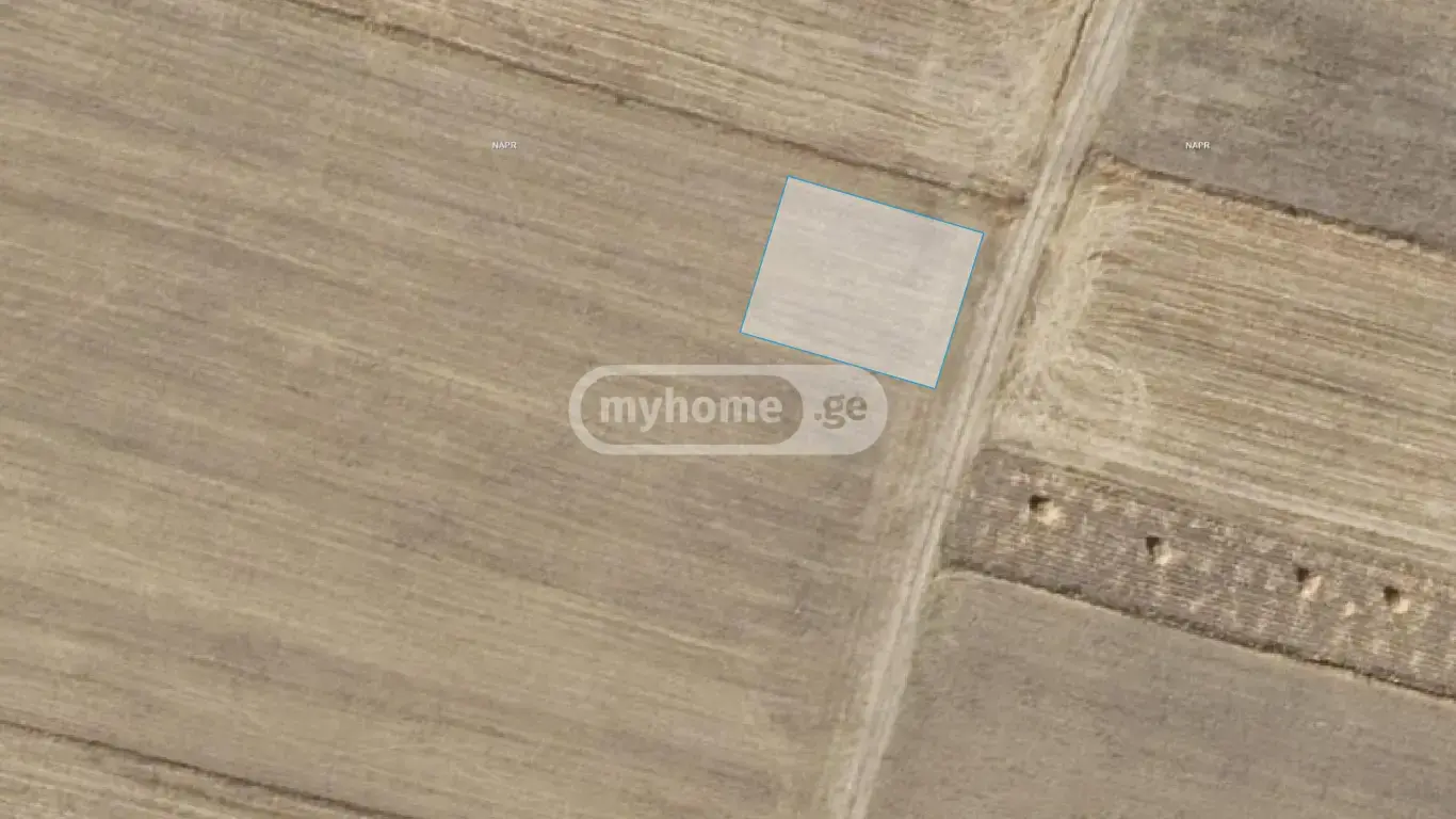 Agricultural Plot For Sale In Mlashe, In Dusheti Municipality view 3