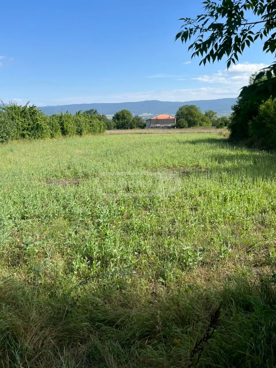 იყიდება Non-Agricultural Plot In Tianeti, In Tianeti Municipalityში view 6