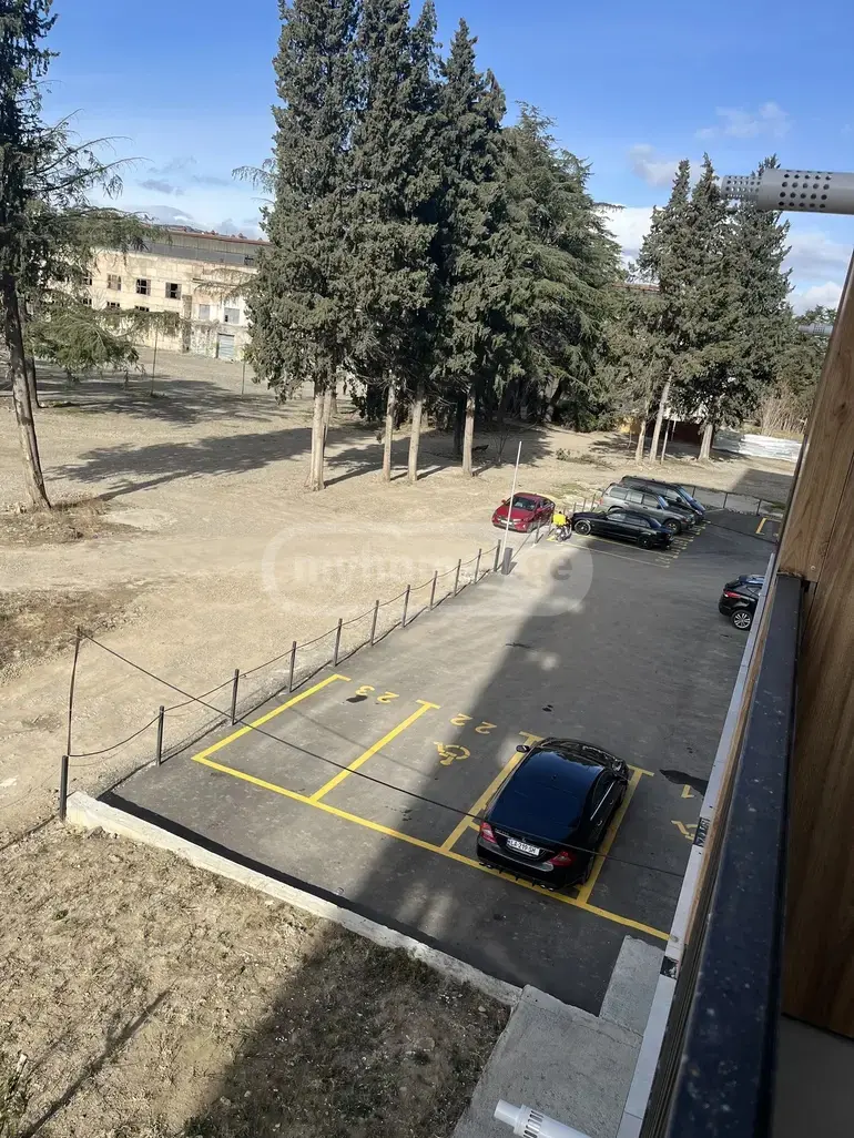 3 Room Apartment For Rent In Nadzaladevi view 9