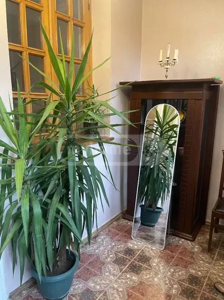 3 Room Apartment For Rent In Vera view 12