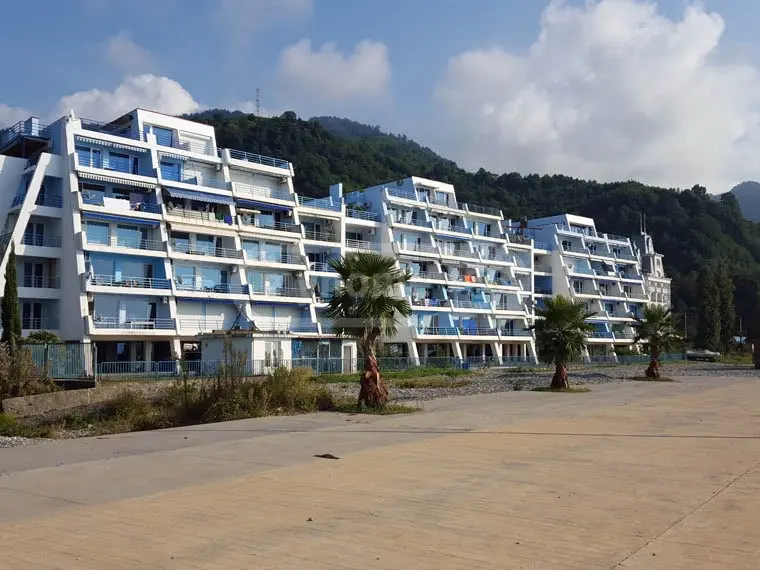1 Room Apartment For Rent In Gonio, In Khelvachauri Municipality view 6