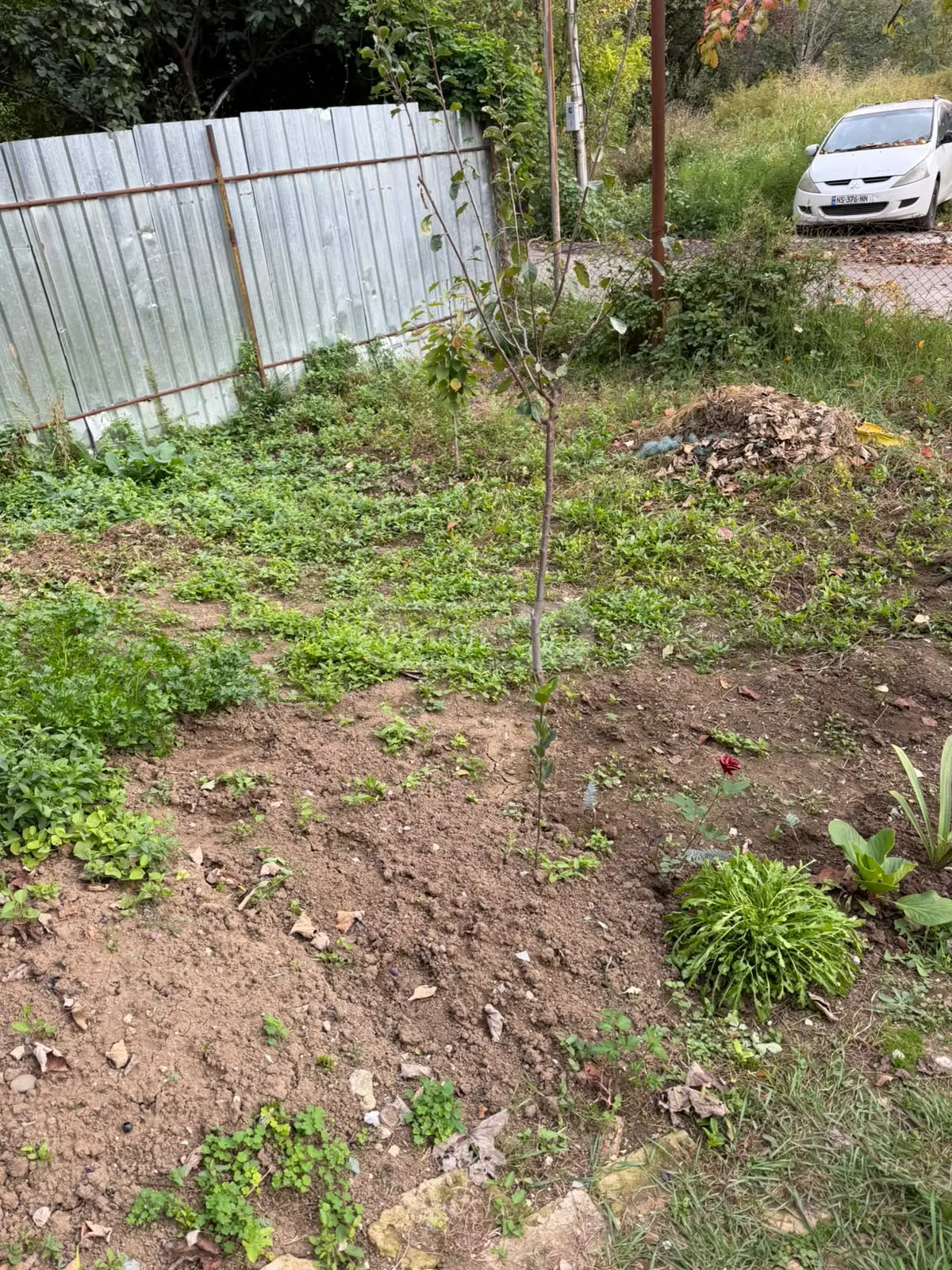 Non-Agricultural Plot For Sale In Krtsanisi view 10