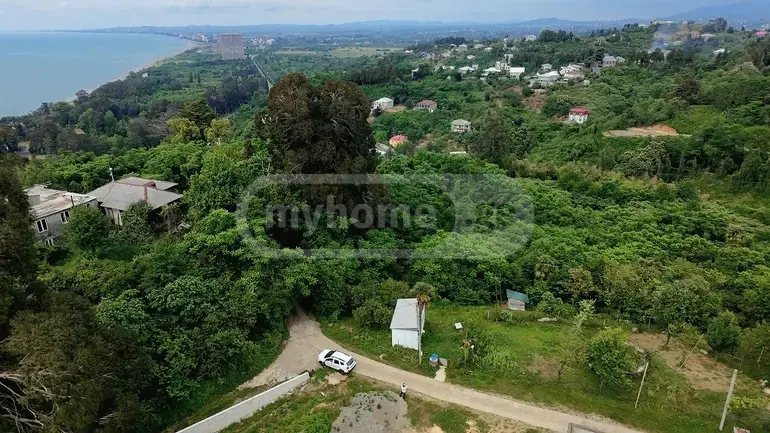 იყიდება Agricultural Plot In Tsikhisdziri, In Kobuleti Municipalityში view 2