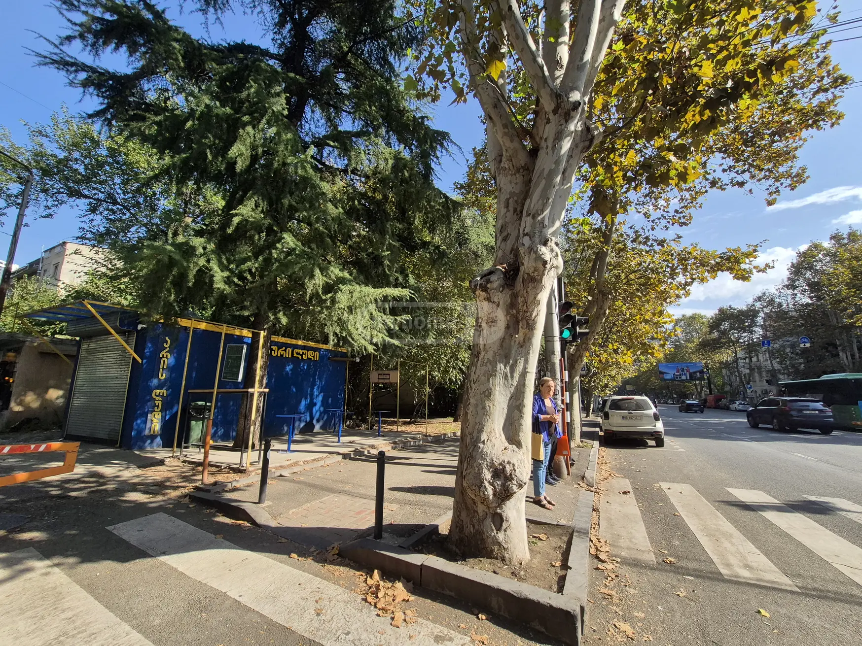 Universal Commercial Area For Sale In Saburtalo view 2