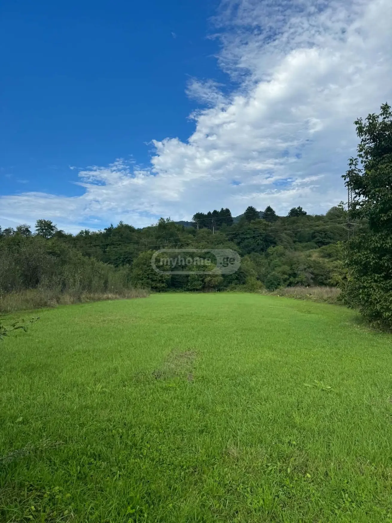 იყიდება Agricultural Plot In Tianeti, In Tianeti Municipalityში view 1
