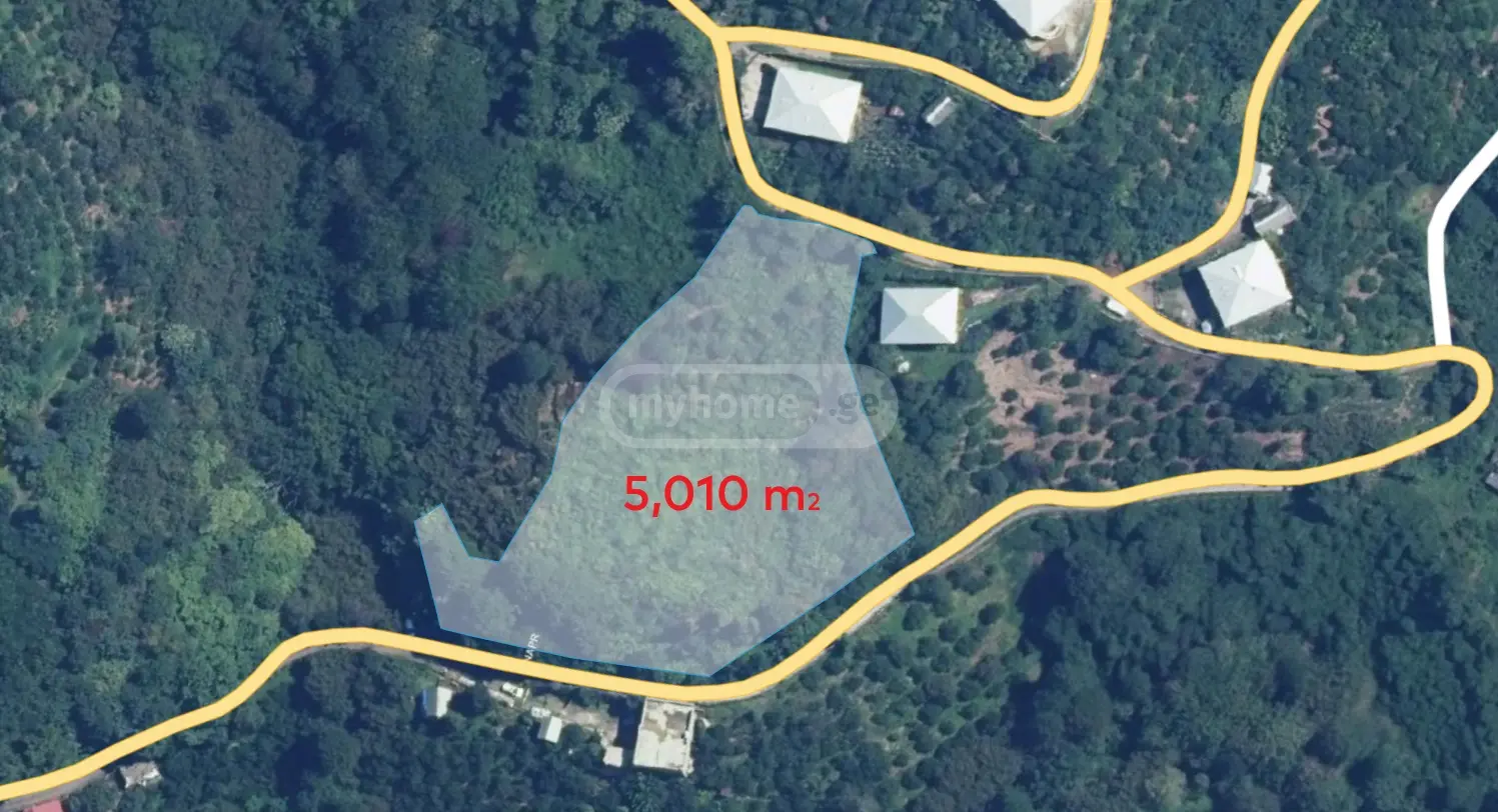 იყიდება Agricultural Plot In Kveda Achkva, In Kobuleti Municipalityში view 4