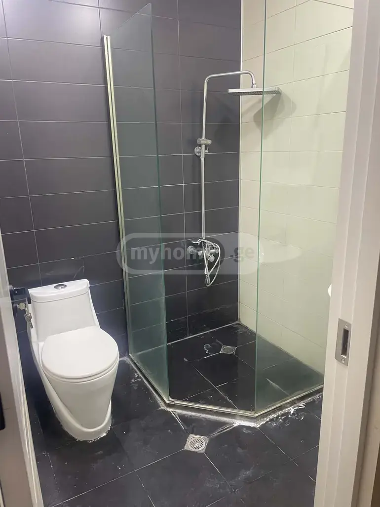 3 Room Apartment For Rent In Nadzaladevi view 5