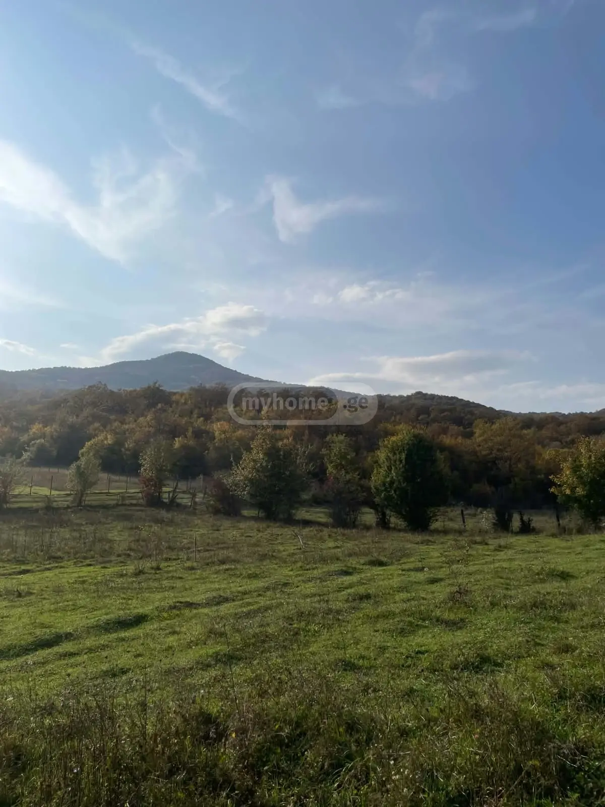 Agricultural Plot For Sale In Kochbaani, In Sagarejo Municipality view 3