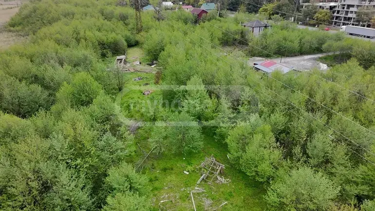 Agricultural Plot For Sale In Grigoleti, In Lanchkhuti Municipality view 2