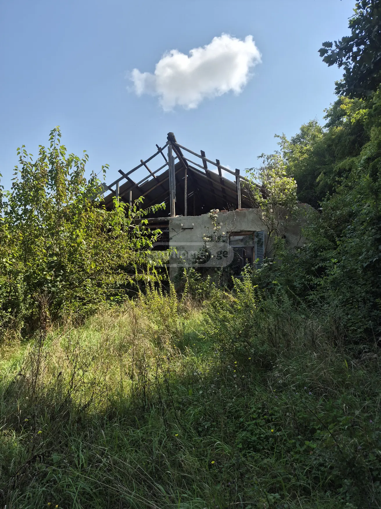Agricultural Plot For Sale In Gori view 3