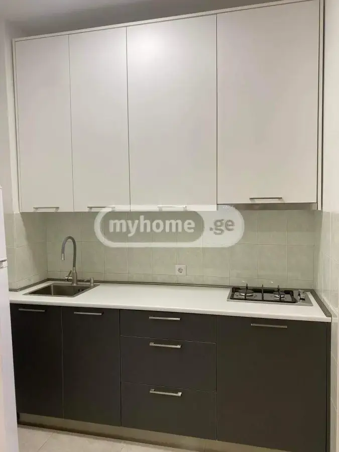 2 Room Apartment For Rent In Mtatsminda view 8