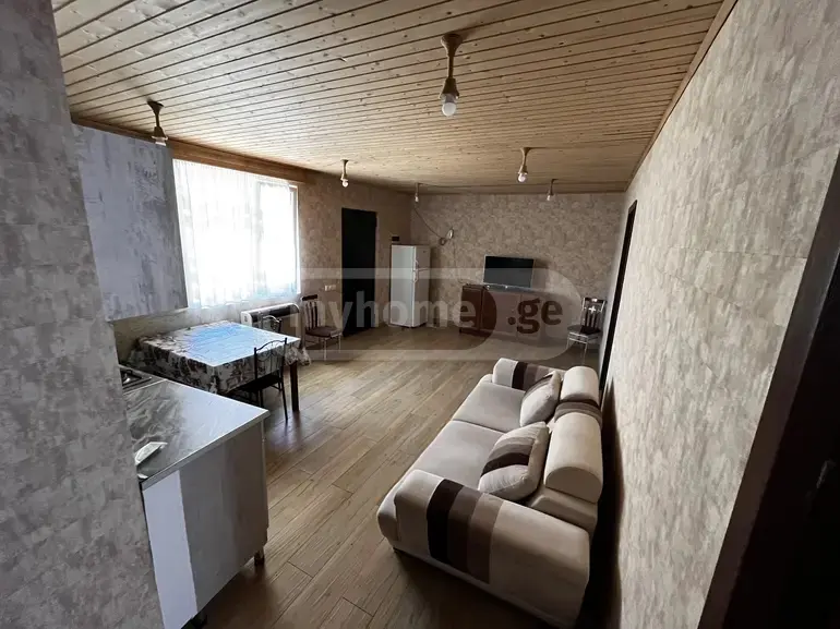 3 Room Apartment For Rent In Nadzaladevi view 6