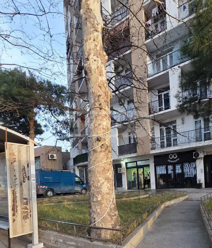 Universal Commercial Area For Rent In Gldani view 9