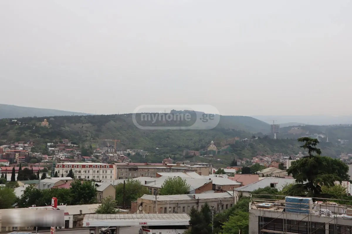 2 Room Apartment For Rent In Avlabari view 11