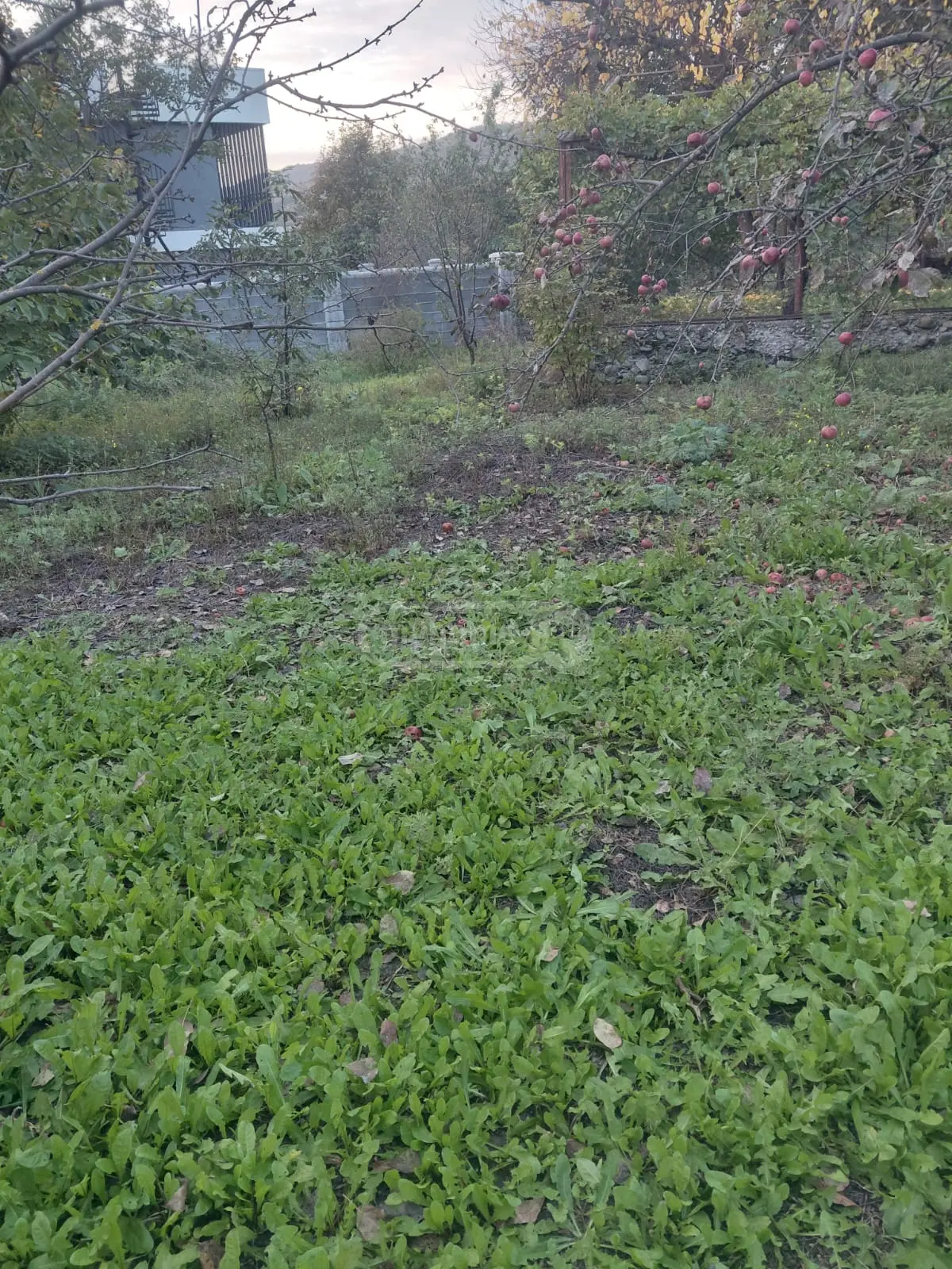 Agricultural Plot For Sale In Saguramo, In Mtskheta Municipality view 4