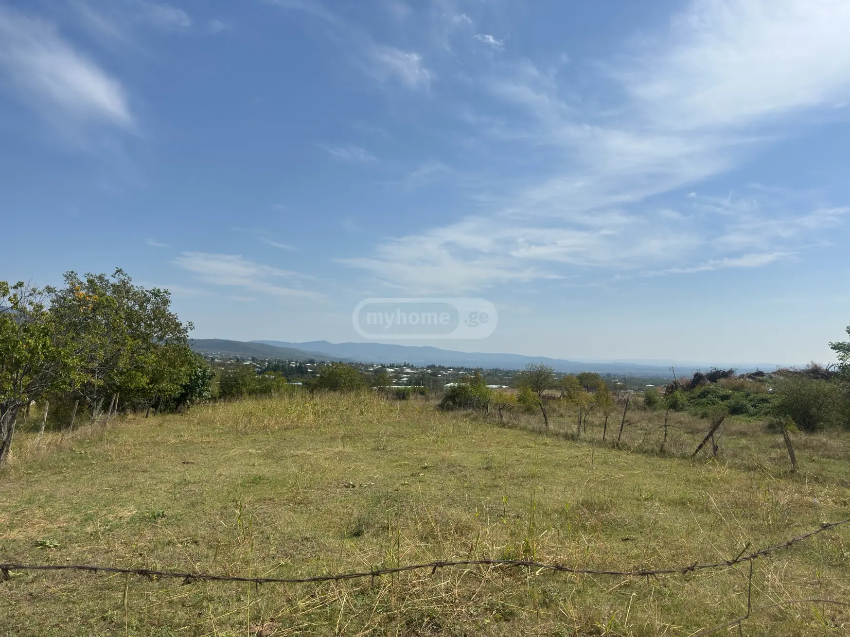 Agricultural Plot For Sale In Sagarejo view 2