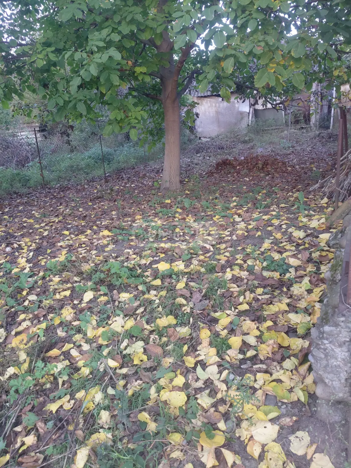 Agricultural Plot For Sale In Saguramo, In Mtskheta Municipality view 3