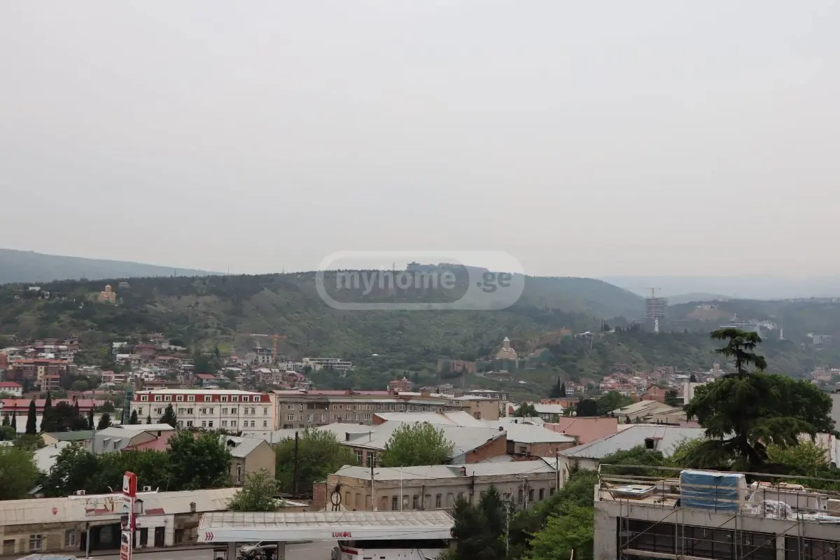 2 Room Apartment For Rent In Sololaki view 11