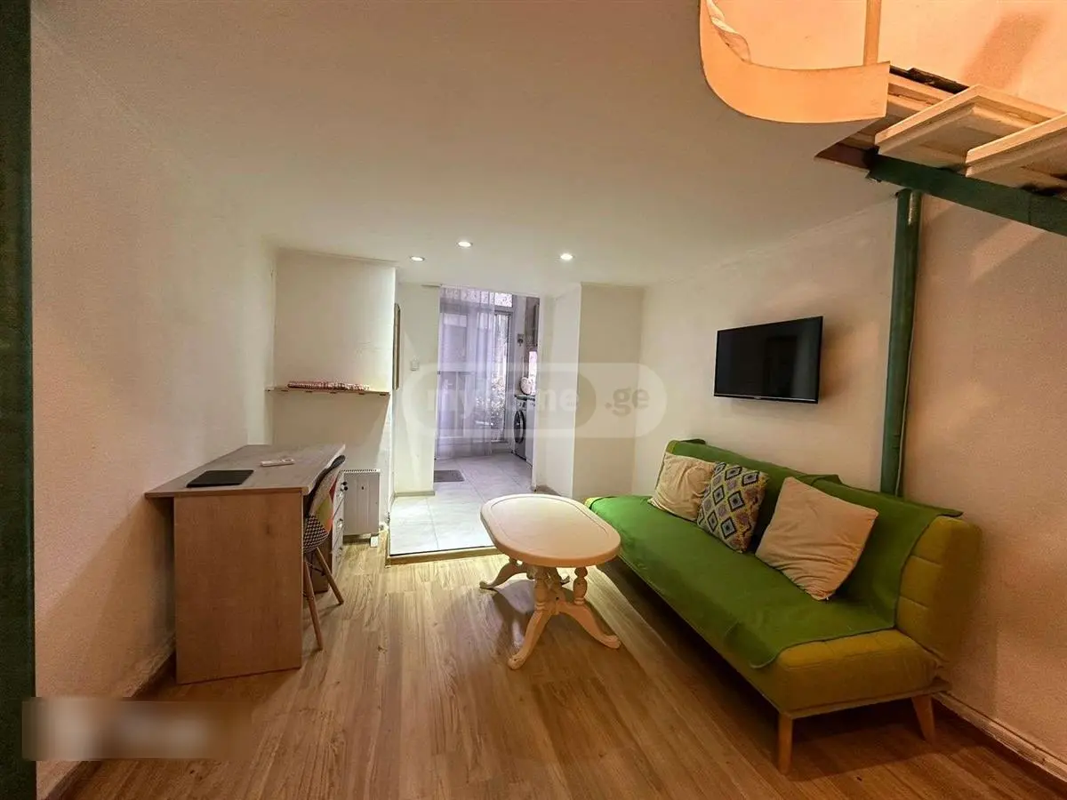 1 Room Apartment For Rent In Mtatsminda view 2