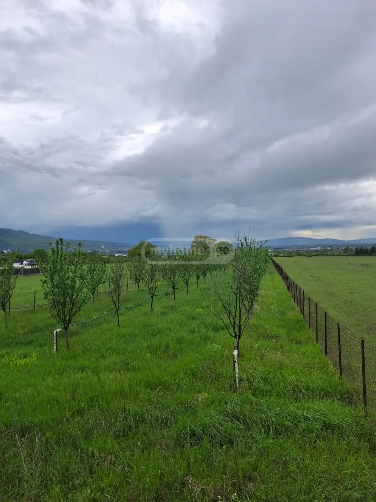 Agricultural Plot For Sale In Saguramo, In Mtskheta Municipality view 1