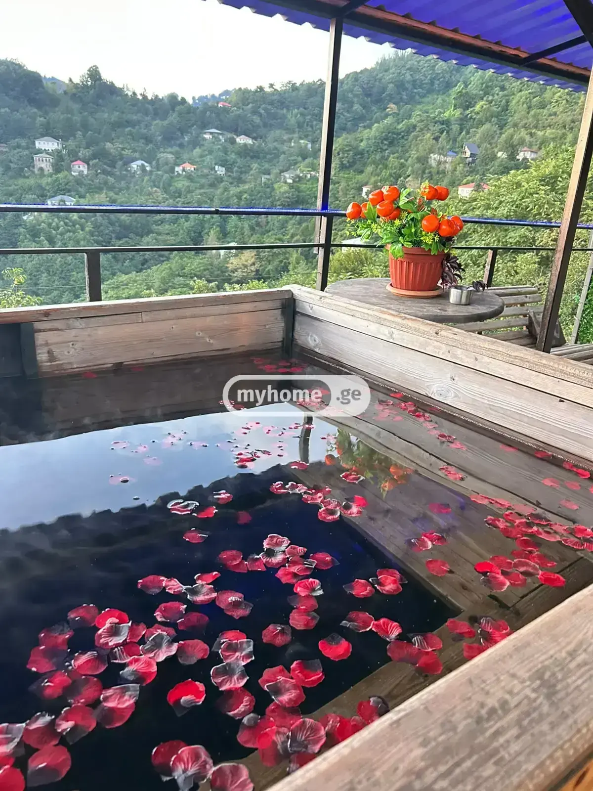 3 Room Country House Daily Rent In Tamar Settlement, In Batumi view 1