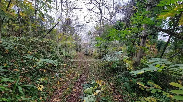 იყიდება Agricultural Plot In Tsikhisdziri, In Kobuleti Municipalityში view 7