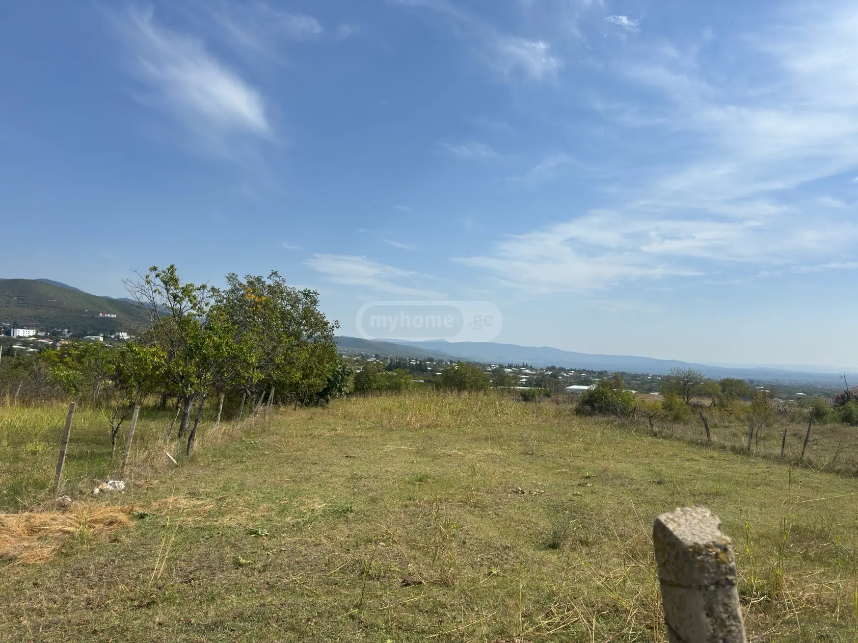 Agricultural Plot For Sale In Sagarejo view 3