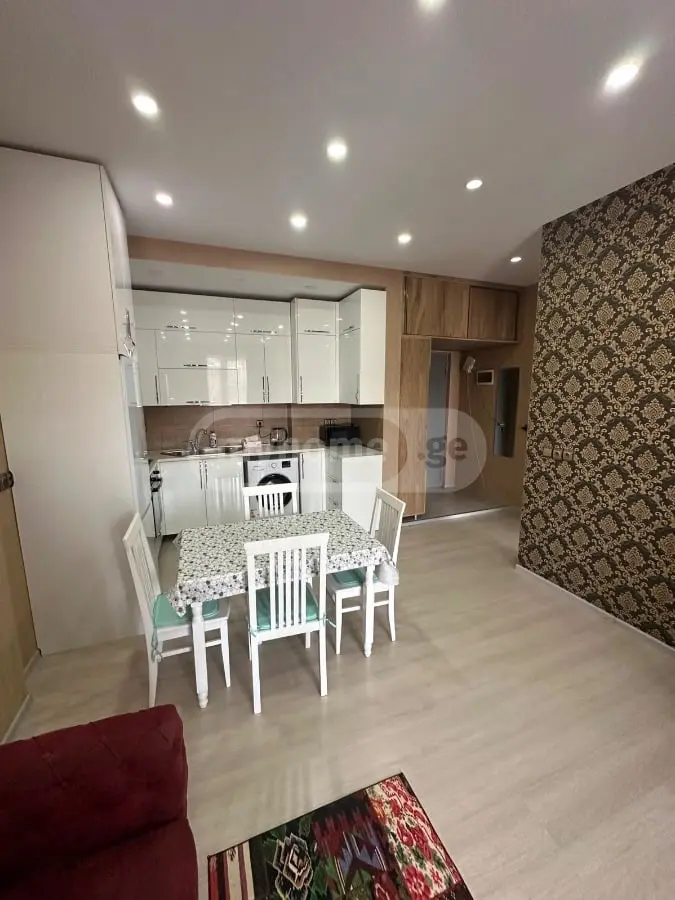 2 Room Apartment For Rent In Sololaki view 12