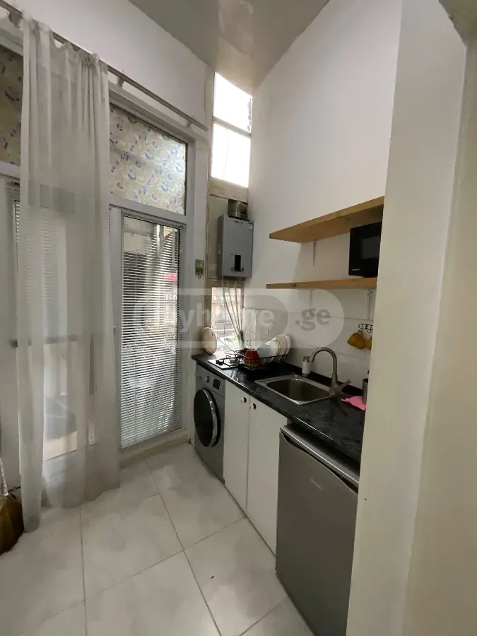 1 Room Apartment For Rent In Mtatsminda view 5