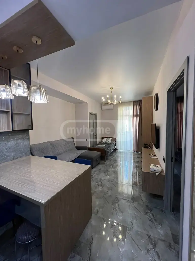 2 Room Apartment For Rent In Samgori view 1