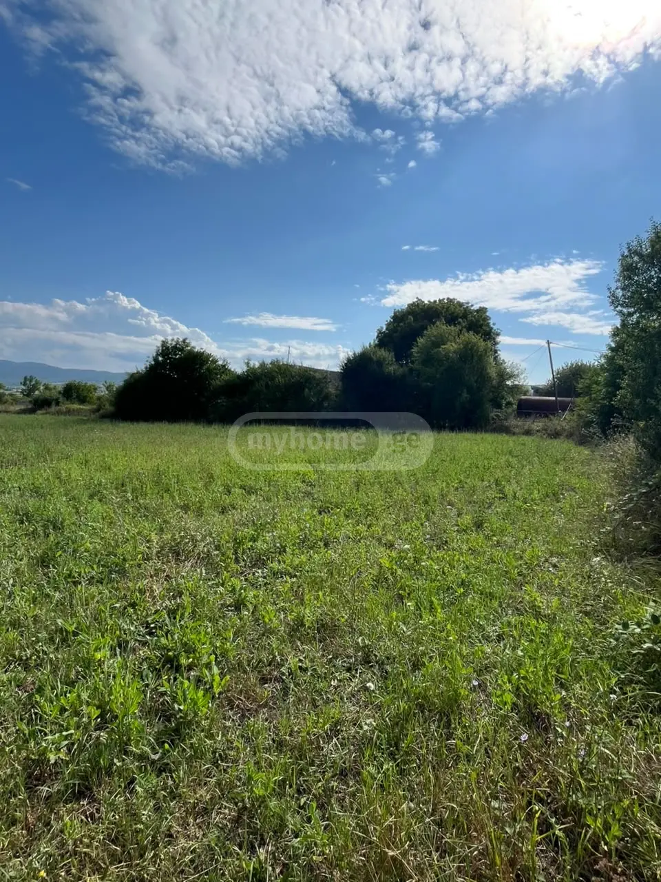 იყიდება Non-Agricultural Plot In Tianeti, In Tianeti Municipalityში view 2