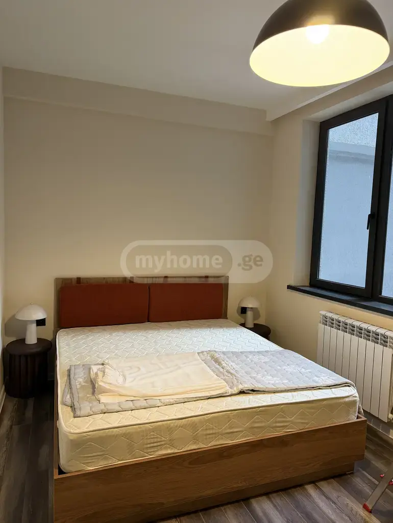 4 Room Apartment For Rent In Mtatsminda view 5