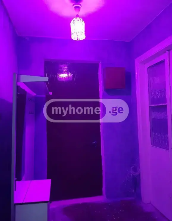 1 Room Apartment For Rent In Samgori view 5