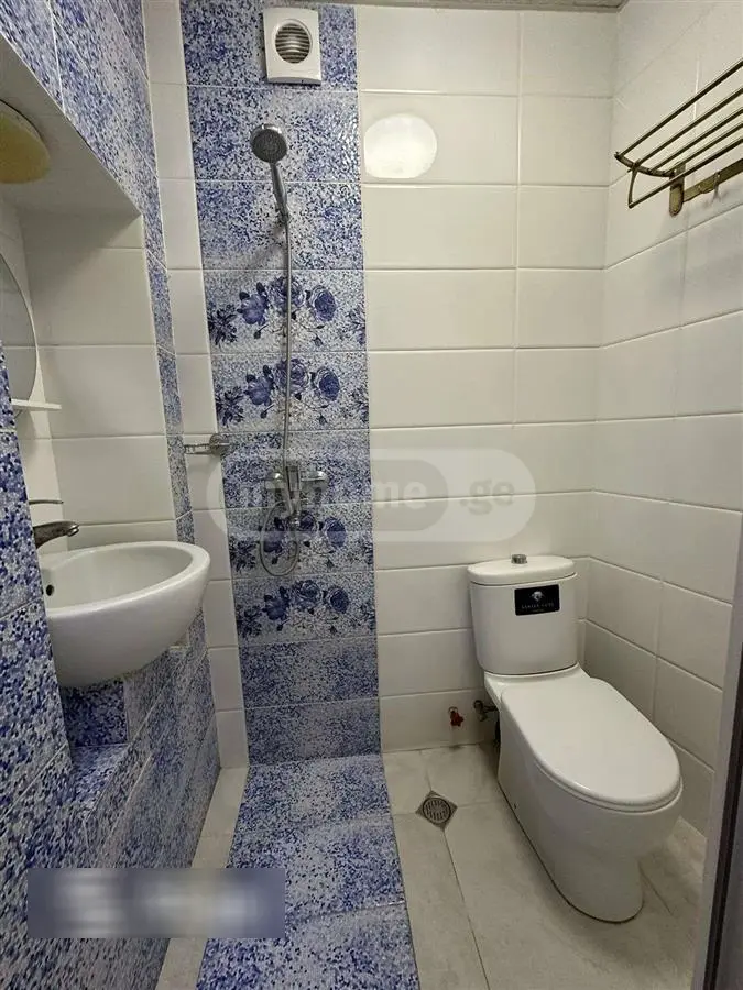 1 Room Apartment For Rent In Mtatsminda view 8