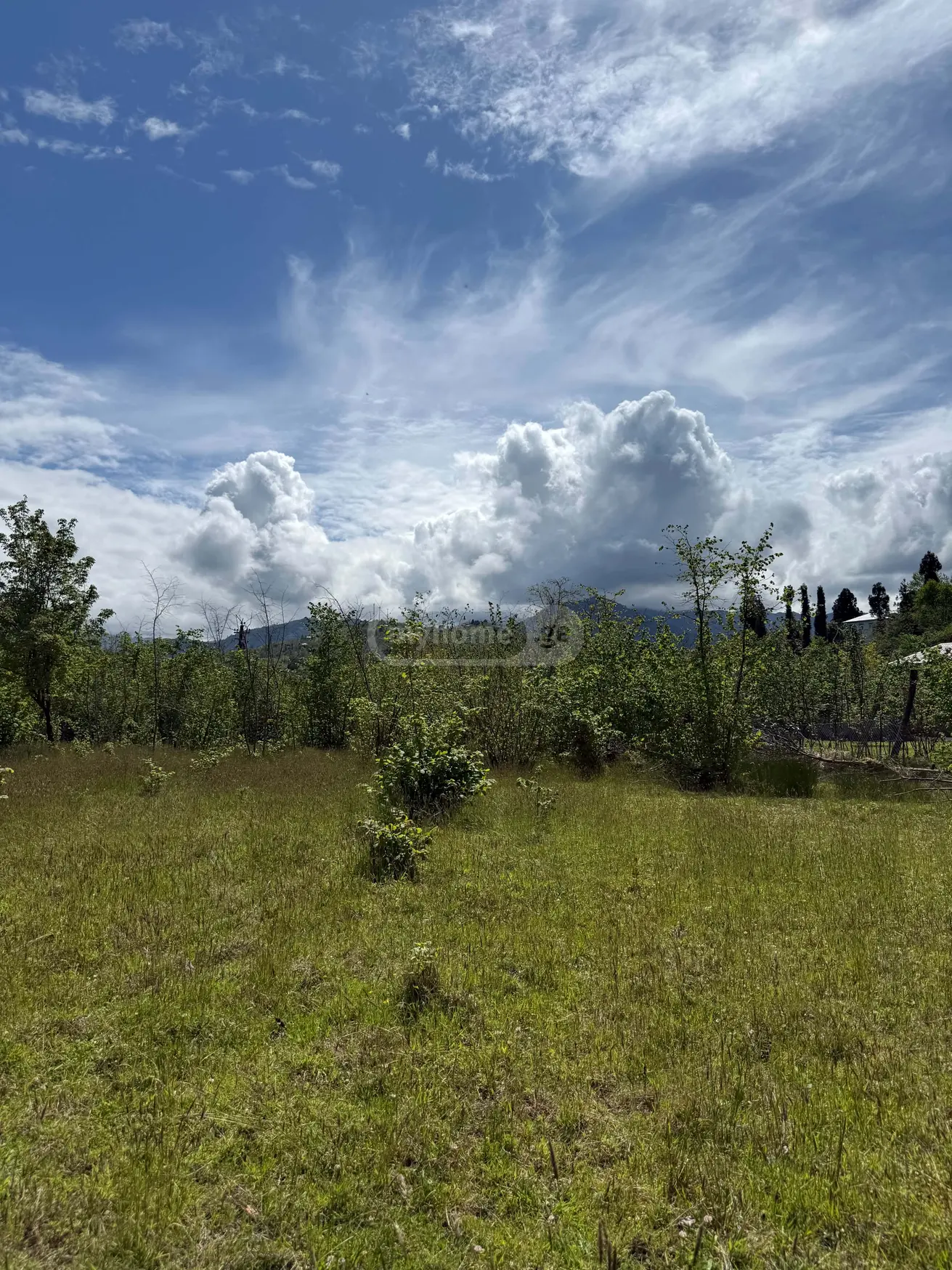 იყიდება Agricultural Plot In Tsinsvla, In Khelvachauri Municipalityში view 4