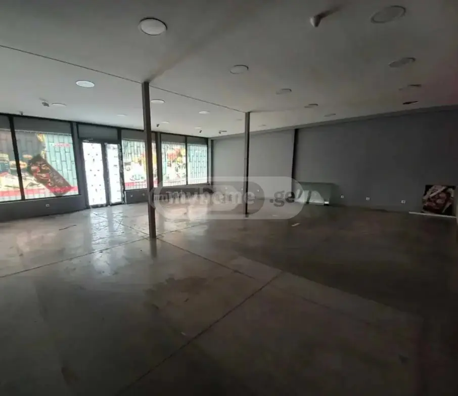 Universal Commercial Area For Rent In Nadzaladevi view 3
