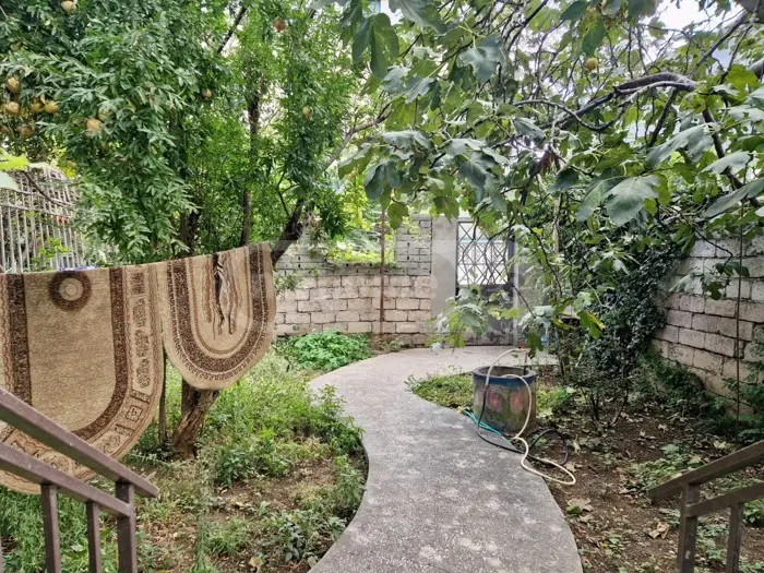 3 Room Apartment For Rent In Vera view 13