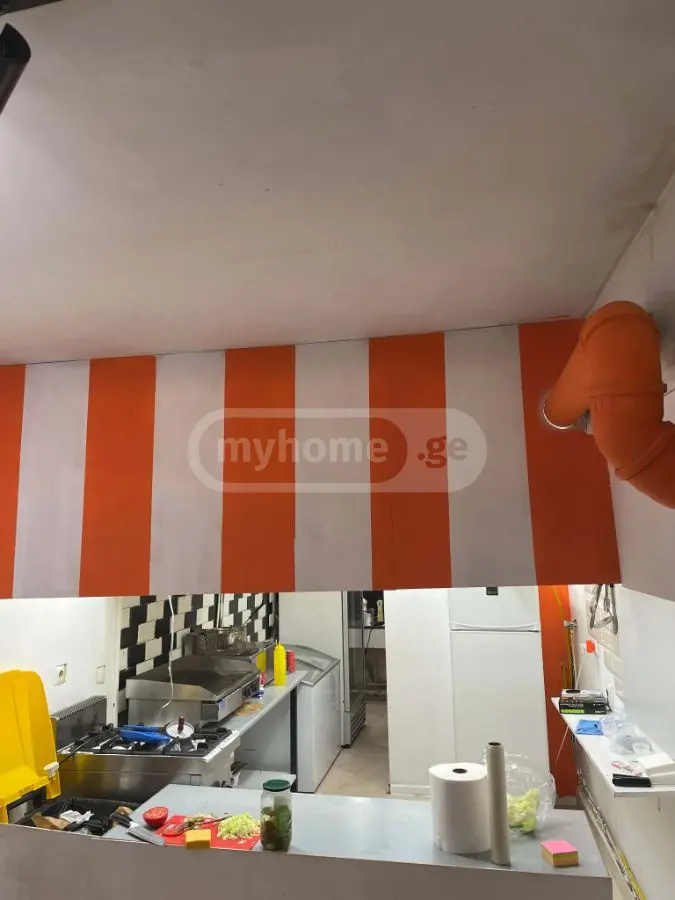 Universal Commercial Area For Rent In Nadzaladevi view 3