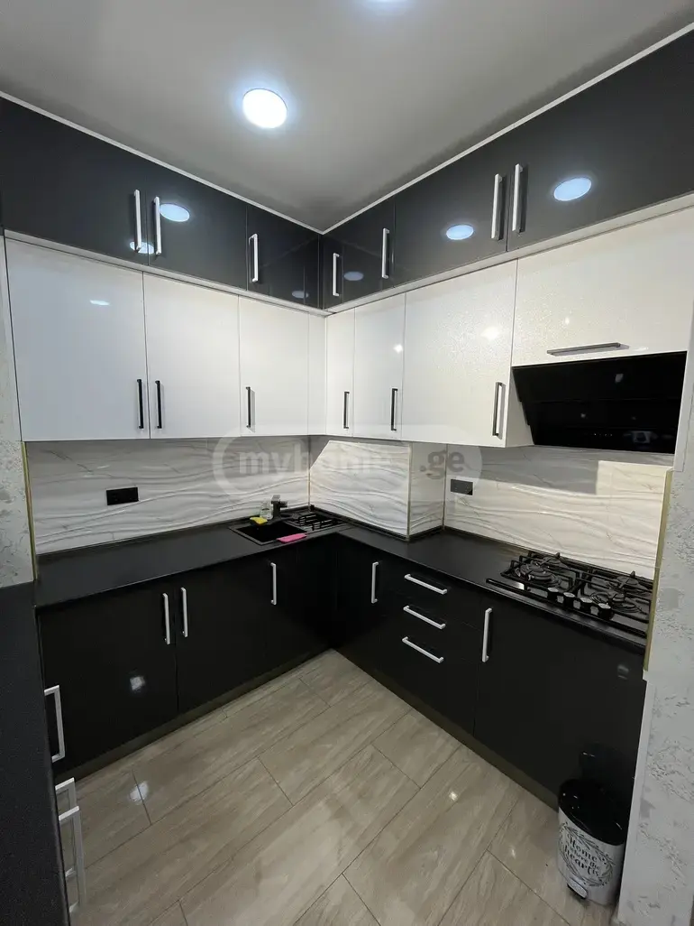 3 Room Apartment For Rent In Nadzaladevi view 10