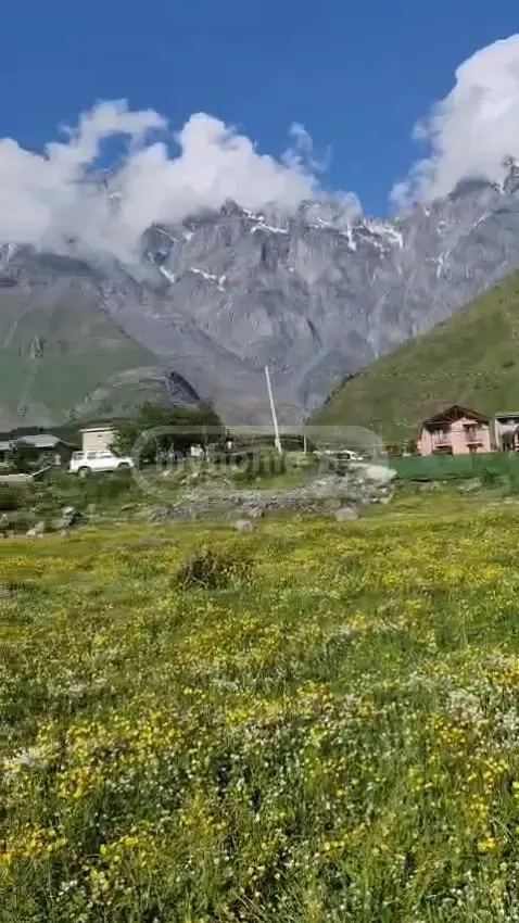 იყიდება Agricultural Plot In Kazbegiში view 6