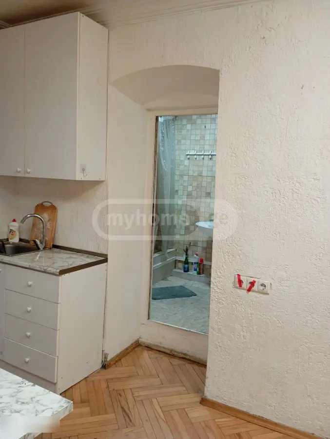 2 Room Apartment For Rent In Mtatsminda view 3