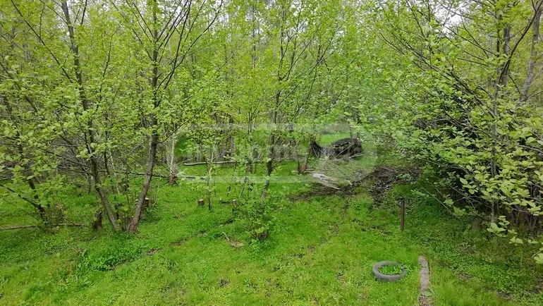Agricultural Plot For Sale In Grigoleti, In Lanchkhuti Municipality view 5