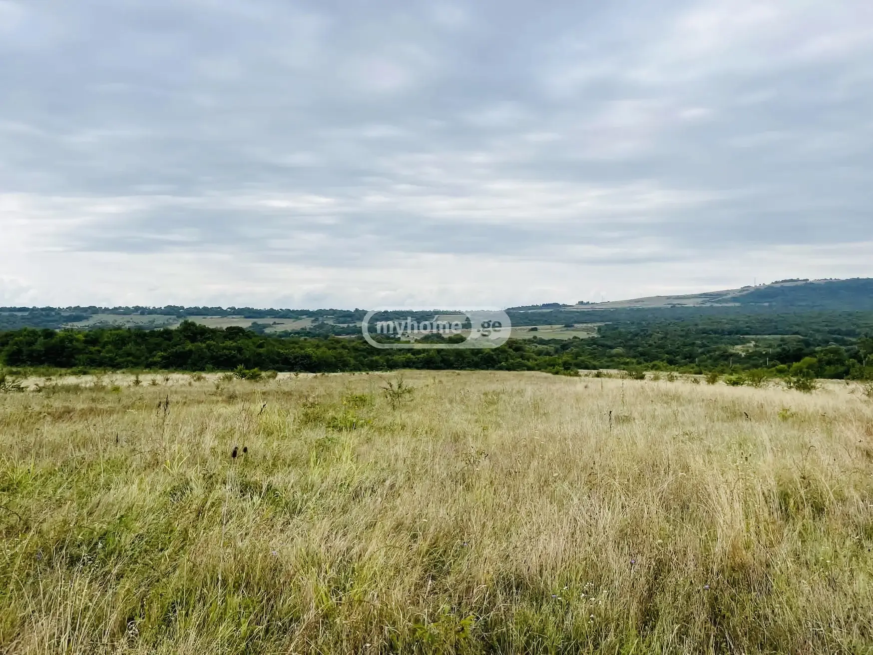 Agricultural Plot For Sale In Ziari, In Gurjaani Municipality view 3