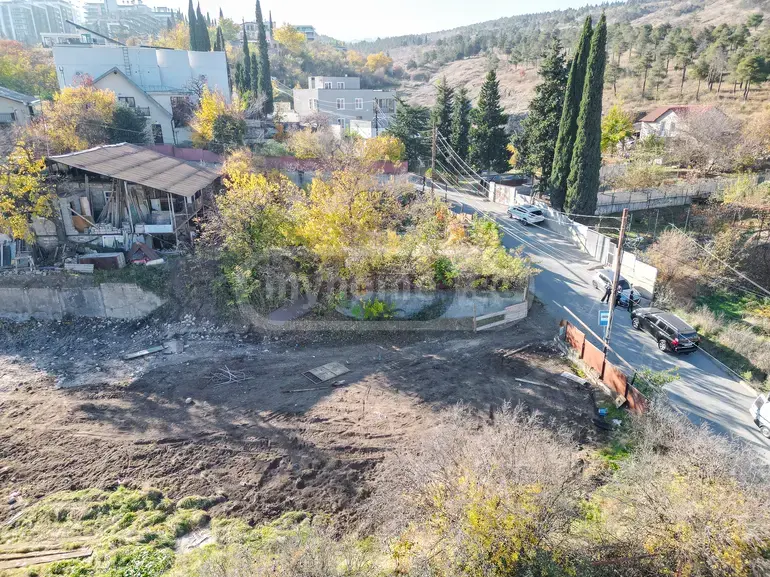 Agricultural Plot For Sale In Krtsanisi view 7