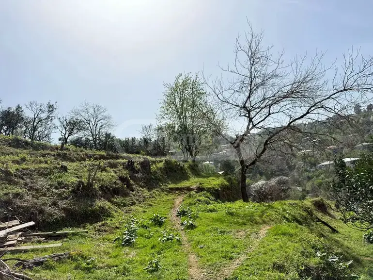 იყიდება Agricultural Plot In Akhalsopeli, In Khelvachauri Municipalityში view 6