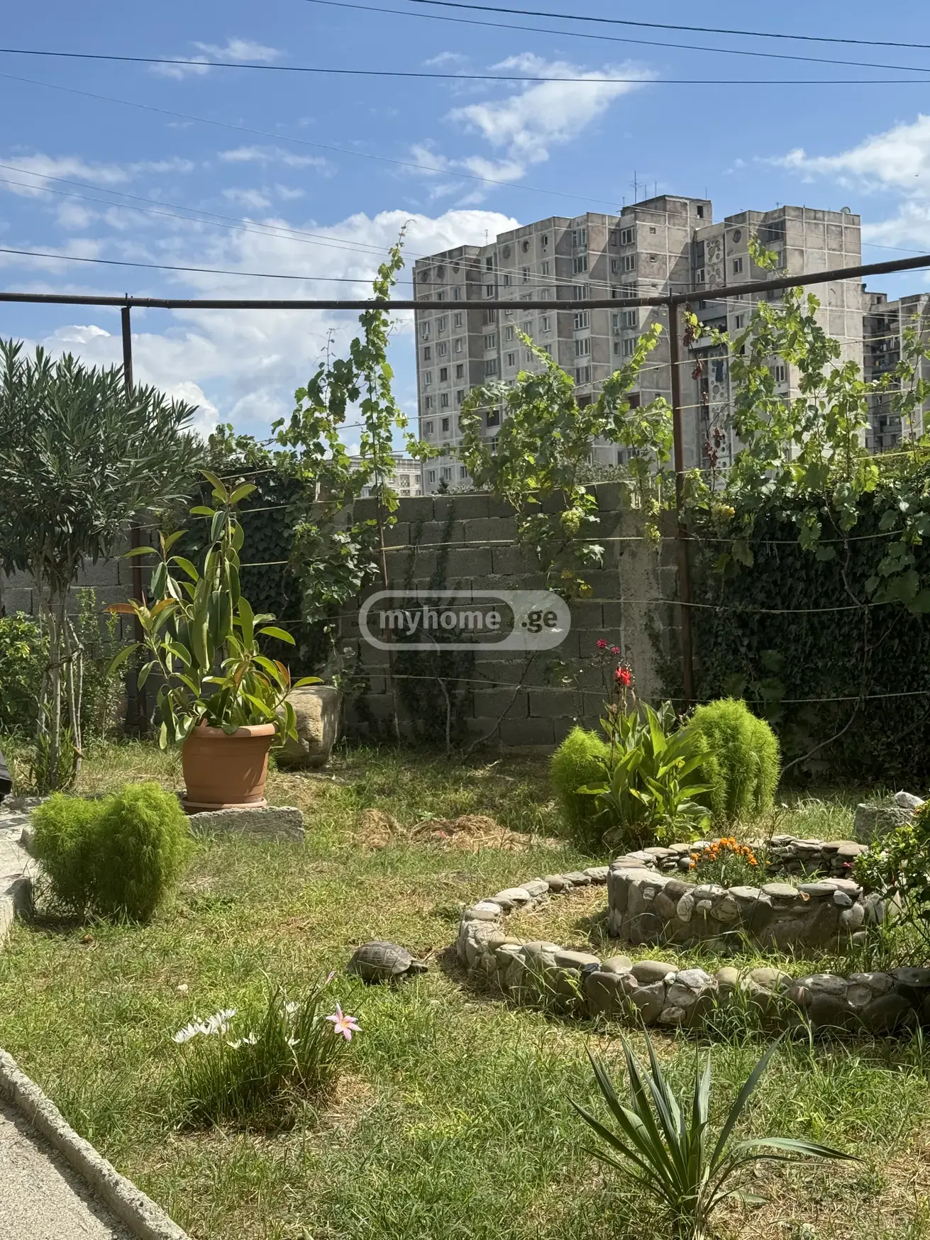 3 Room Private House For Sale view 5